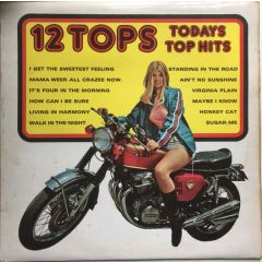 Unknown Artist - Unknown Artist - 12 Tops - Todays Top Hits - Stereo Gold Award