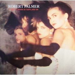 Robert Palmer - Robert Palmer - I Didnt Mean To Turn You On - Island