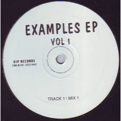 Unknown Artist - Unknown Artist - Examples E.P - VIP