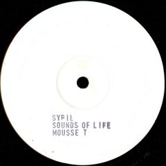 Sybil - Sybil - When I Fall In Love - Not On Label