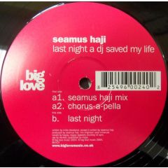 Seamus Haji - Last Night A DJ Saved My Life - Big Love