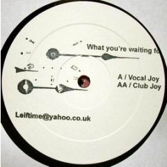 D-Nox & Beckers , Gwen Stefani - D-Nox & Beckers , Gwen Stefani - What You're Waiting For - Not On Label (Gwen Stefani)