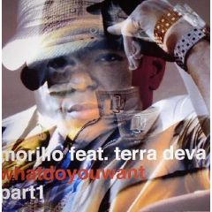 Erick Morillo Ft Terra Deva - Erick Morillo Ft Terra Deva - What Do You Want (Part 1) - Subliminal