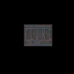 Fluke - Fluke - Thumper & Cool Hand Flute - Not On Label