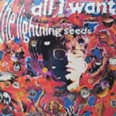 The Lightning Seeds - The Lightning Seeds - All I Want - Ghetto
