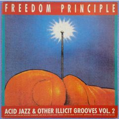 Various Artists - Various Artists - Freedom Principle (Acid Jazz & Other Illicit Grooves Vol. 2) - Urban