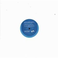 Decon & Darren Windham - Decon & Darren Windham - Rhythm Revolution - Sentient
