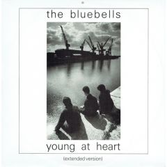 The Bluebells - The Bluebells - Young At Heart - London