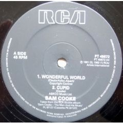 Sam Cooke - Sam Cooke - Wonderful World - RCA