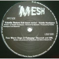 Volatile Headspace / Beamish and SBL - Volatile Headspace / Beamish and SBL - Volatile Nature (Remix) / Two Warm Days In February - Mesh Records