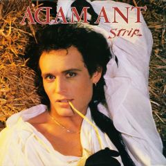 Adam Ant - Adam Ant - Strip - CBS