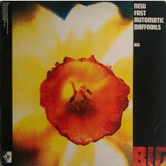 New Fast Automatic Daffodils - New Fast Automatic Daffodils - BIG - Playtime Records