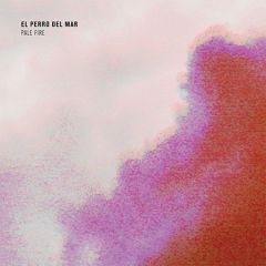 El Perro Del Mar - El Perro Del Mar - Pale Fire - Memphis Industries