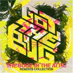 Bugz In The Attic - Bugz In The Attic - Got The Bug (The Bugz In The Attic Remixes Collection) - V2