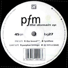 PFM - PFM - The Domain EP - Big Giant Music