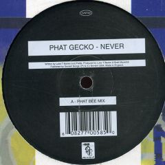 Phat Gecko - Phat Gecko - Never - Deviant
