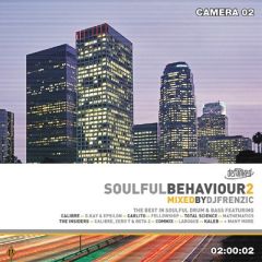 Various Artists - Various Artists - Soulful Behaviour 2 - Defunked