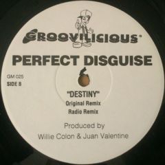 Perfect Disguise - Perfect Disguise - Destiny - Groovilicious