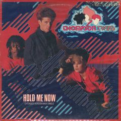 Thompson Twins - Thompson Twins - Hold Me Now - Arista