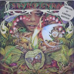 Spyro Gyra - Spyro Gyra - Morning Dance - Infinity