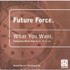 Future Force - Future Force - What You Want (Karmasutra / Richie Jones Mixes) - AM:PM