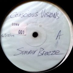 1 + 1 Featuring Julie V - 1 + 1 Featuring Julie V - Summer Breeze (Radio Edit) - Conscious Visions