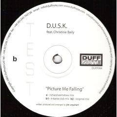 D.U.S.K. - D.U.S.K. - Picture Me Falling - Duffnote Recordings
