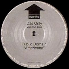 Public Domain / Vince Nysse - Public Domain / Vince Nysse - Americana / So Much - Incentive