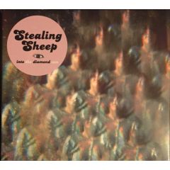 Stealing Sheep - Stealing Sheep - Into The Diamond Sun - Heavenly