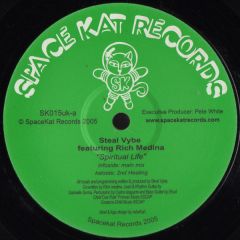 Steal Vybe Feat Rich Medina - Steal Vybe Feat Rich Medina - Spiritual Life - Space Kat Records