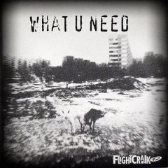 Flightcrank - Flightcrank - What U Need - Copasetik Recordings