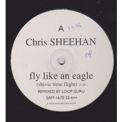 Chris Sheehan - Chris Sheehan - Fly Like An Eagle - Anxious Records