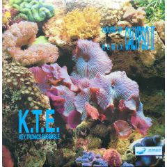 Key Tronics Ensemble - Key Tronics Ensemble - House Of Calypso II Remix - Irma CasaDiPrimordine
