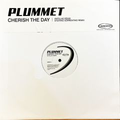 Plummet - Plummet - Cherish The Day - Manifesto