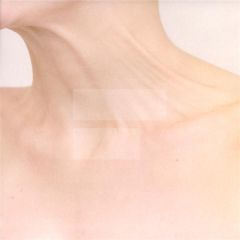 The Penelopes - The Penelopes - Steel This - Lucy Lee