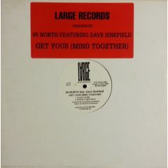 95 North Ft Dave Sinkfield - 95 North Ft Dave Sinkfield - Get Your (Mind Together) - Large