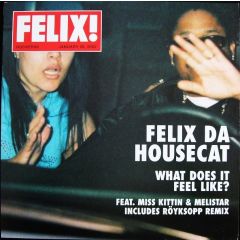 Felix Da Housecat - Felix Da Housecat - What Does It Feel Like? - City Rockers