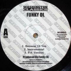 Funky Dl - Funky Dl - Because Of You - Washington Classics