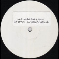 Paul van Dyk vs. Billie Ray Martin - Paul van Dyk vs. Billie Ray Martin - Loving An Angel - Not On Label