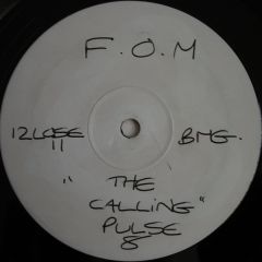 Friends Of Matthew - Friends Of Matthew - The Calling - Pulse-8 Records
