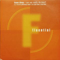 Knee Deep - Knee Deep - Can We Really Do This? EP - Fluential