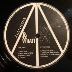 Zionnoiz - Zionnoiz - And What - Future Soul 2
