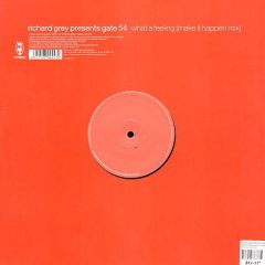 Richard Grey Presents Gate 54 - Richard Grey Presents Gate 54 - What A Feeling - Vendetta