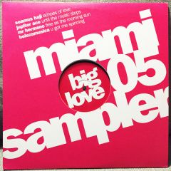 Big Love & Soul Love Presents - Big Love & Soul Love Presents - Big Love & Soul Love (Miami Wmc Sampler 2005) - Big Love / Soul Love Wmc 5