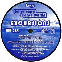 Julius Papp & Dave Warrin - Julius Papp & Dave Warrin - Excursions - Large Music