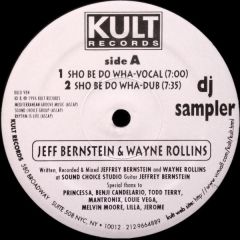 Wayne Rollins & Jeff Bernstein / 95 North - Wayne Rollins & Jeff Bernstein / 95 North - DJ Sampler - Kult Records