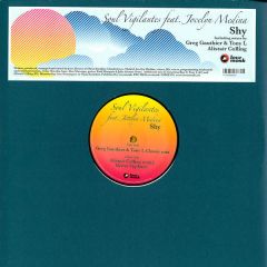 Soul Vigilantes Feat Jocelyn Medin - Soul Vigilantes Feat Jocelyn Medin - SHY - Lovemonk