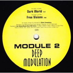 Deep Modulation - Deep Modulation - Module 2 - First Impression