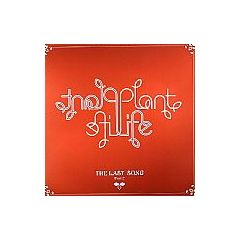 Plant Life - Plant Life - The Last Song (Part 2) - Gut Records