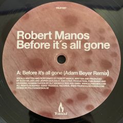 Robert Manos - Robert Manos - Before Its All Gone - Truesoul